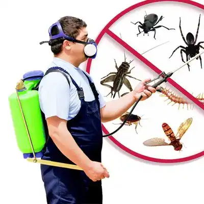 pest control Great Neck Gardens